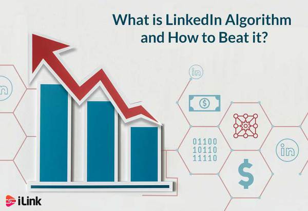 What is LinkedIn Algorithm and How to Beat it?