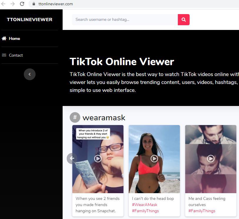 TikTok profile viewer